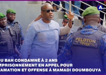 Cour d’appel : Aliou Bah condamné à 2 ans de prison ferme