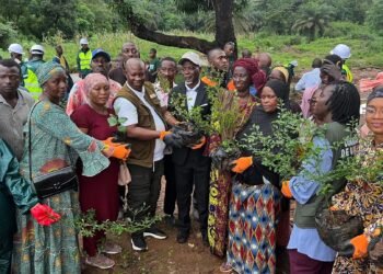Lambanyi : plus de 200 arbres plantés à Waréah pour restaurer le couvert végétal